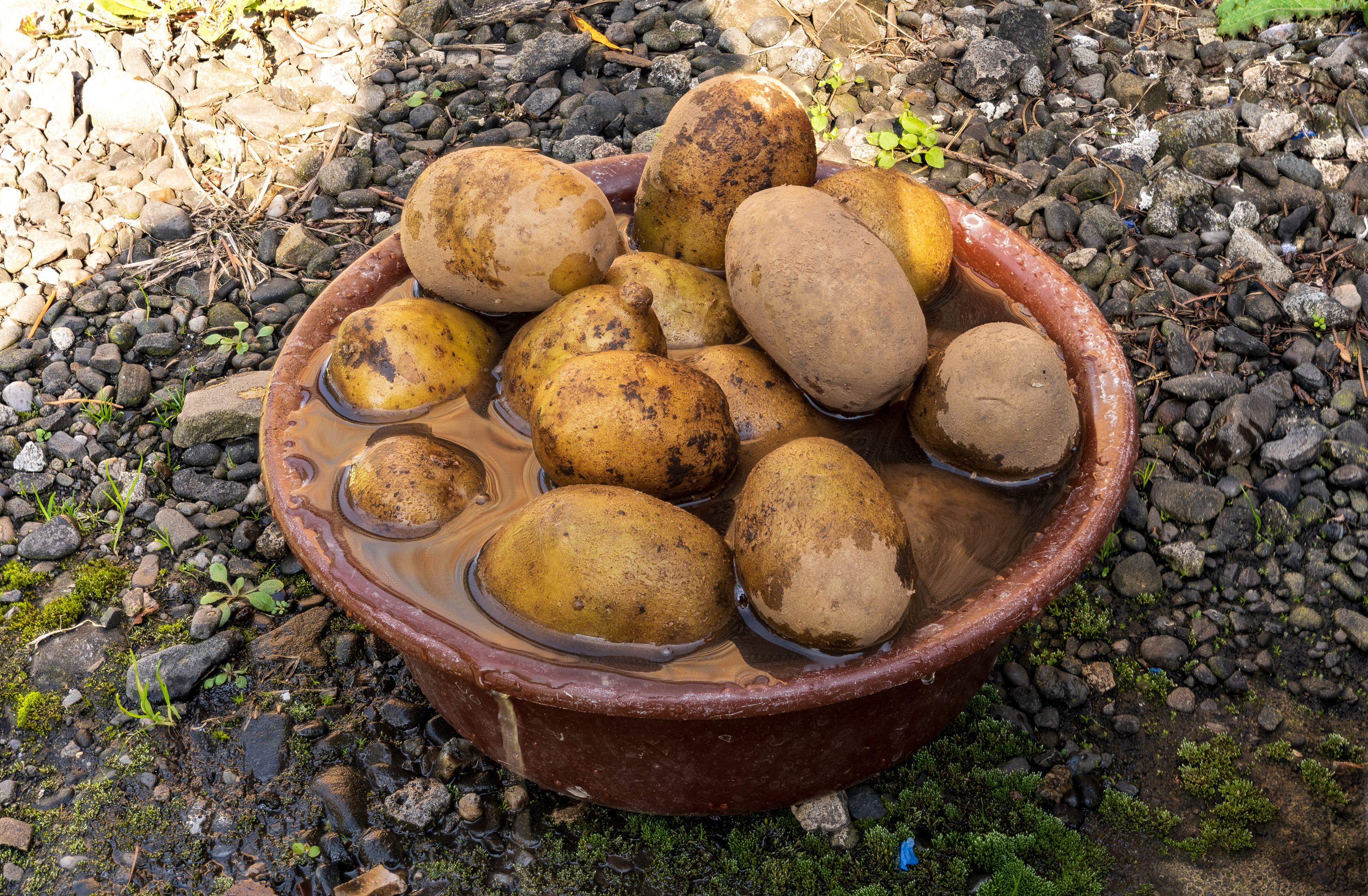 2022-12-16 19-21-20 (C,S4).jpg