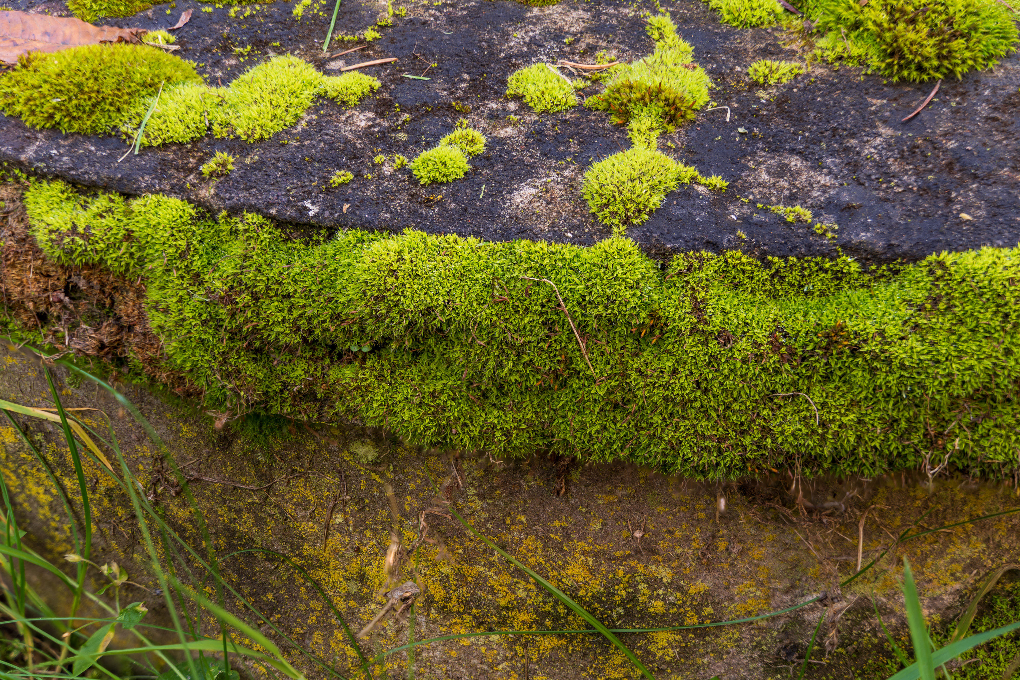 2022-12-16 19-02-11 (B,R8,S4).jpg