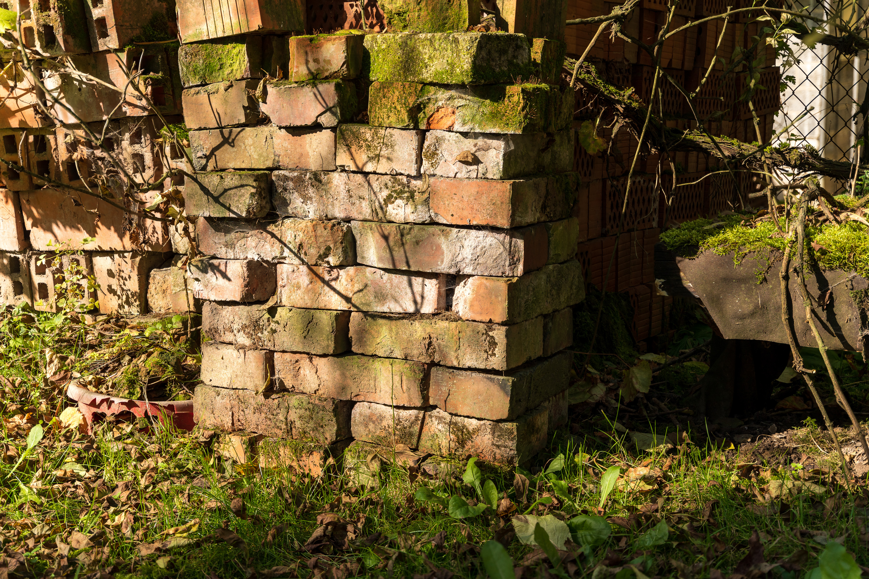 2022-12-16 19-22-26 (B,R8,S4).jpg