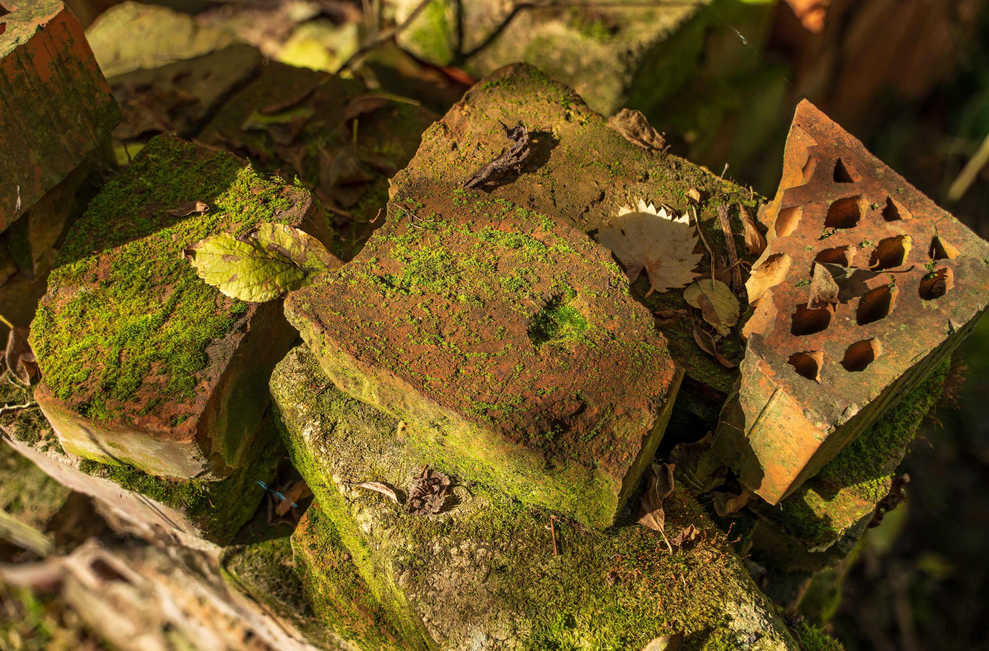 2022-12-16 19-23-11 (B,R8,S4).jpg