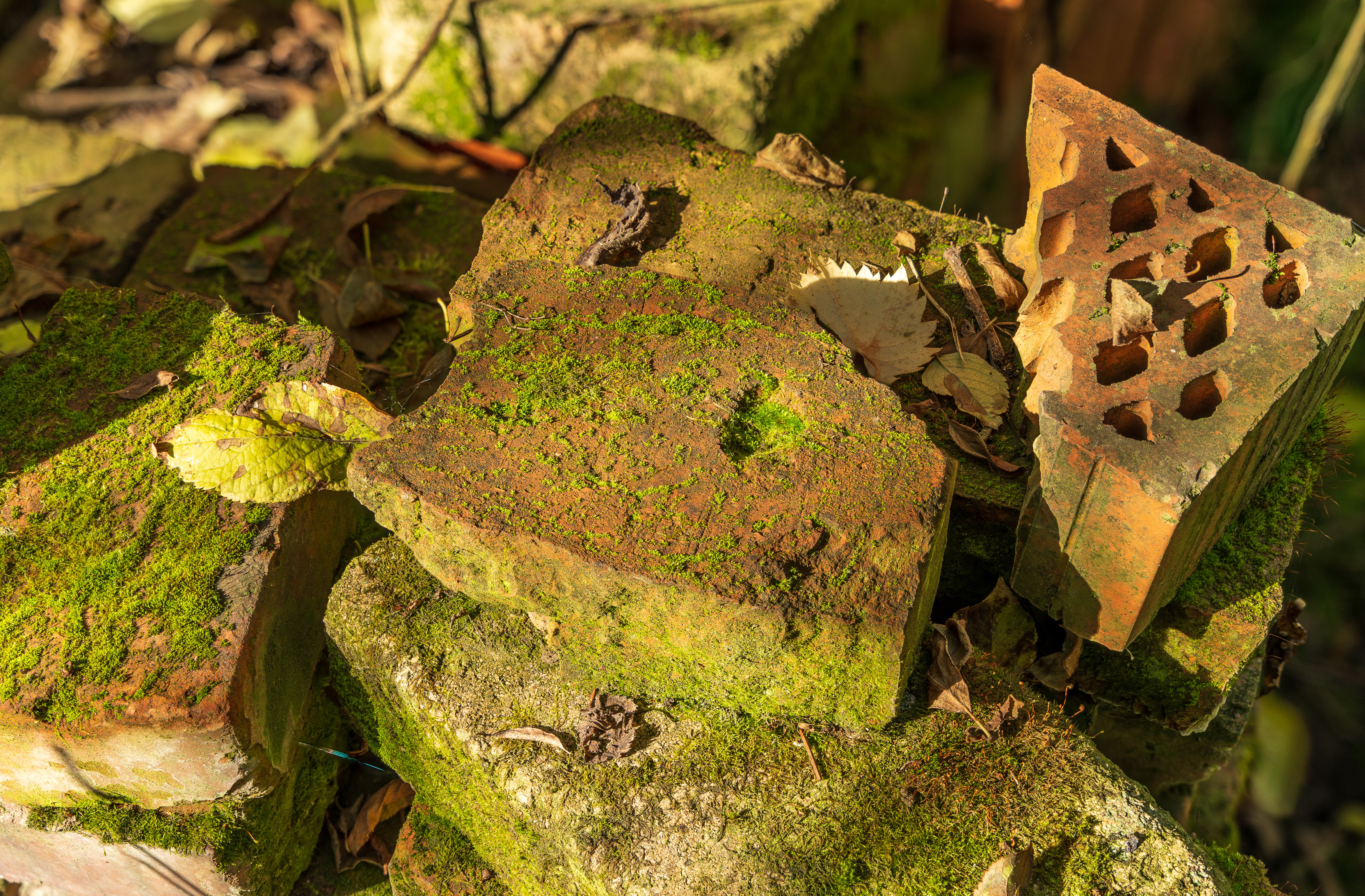 2022-12-16 19-23-54 (B,R8,S4).jpg