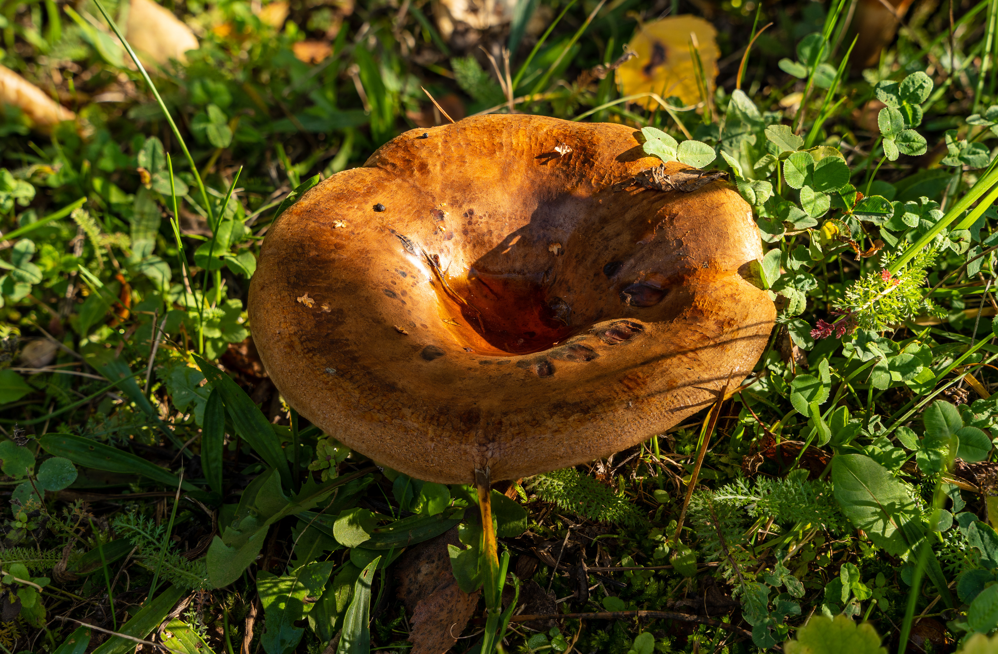 2022-12-16 18-18-35 (B,R8,S4).jpg