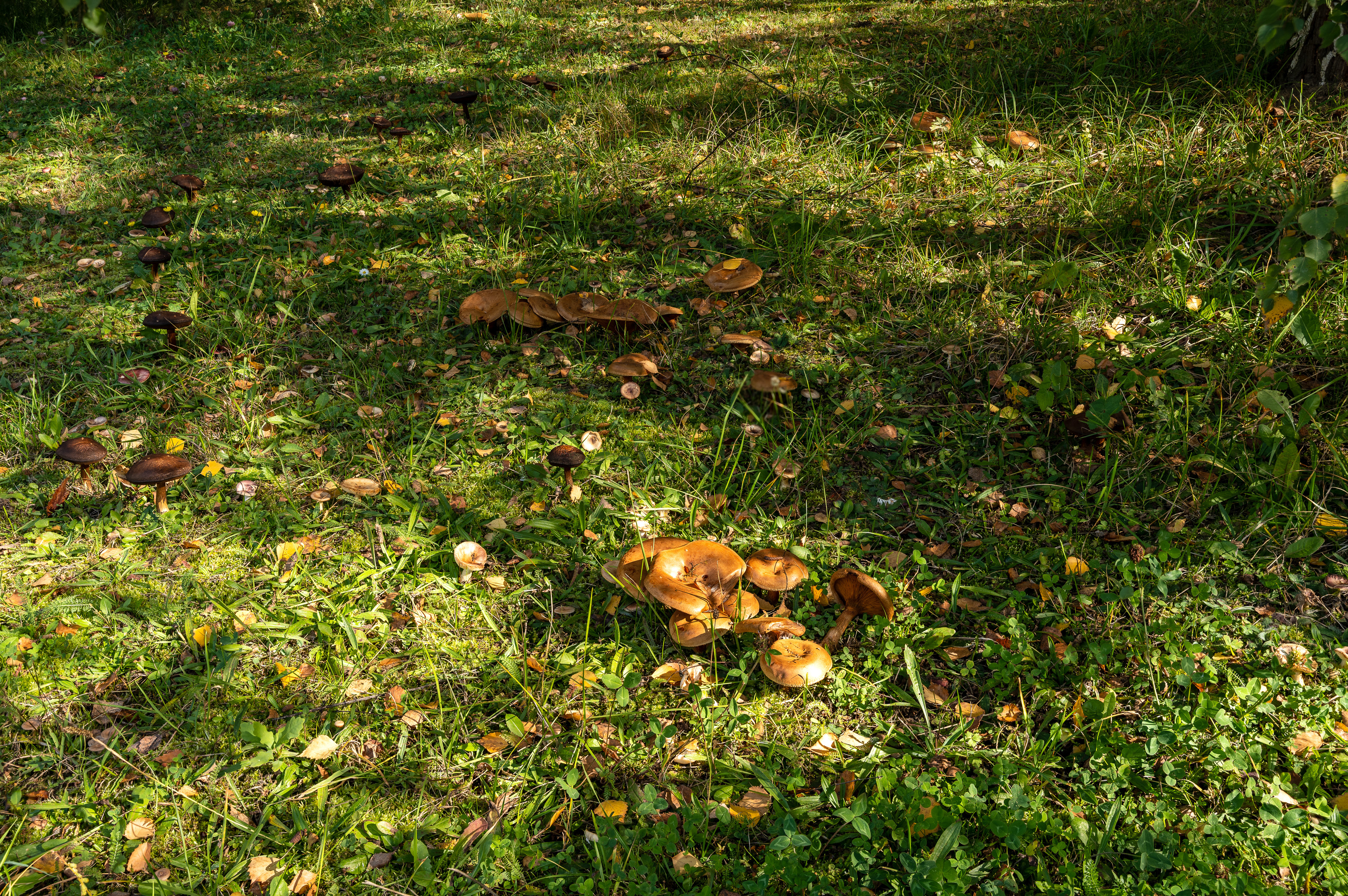 2022-12-16 18-20-25 (B,R8,S4).jpg