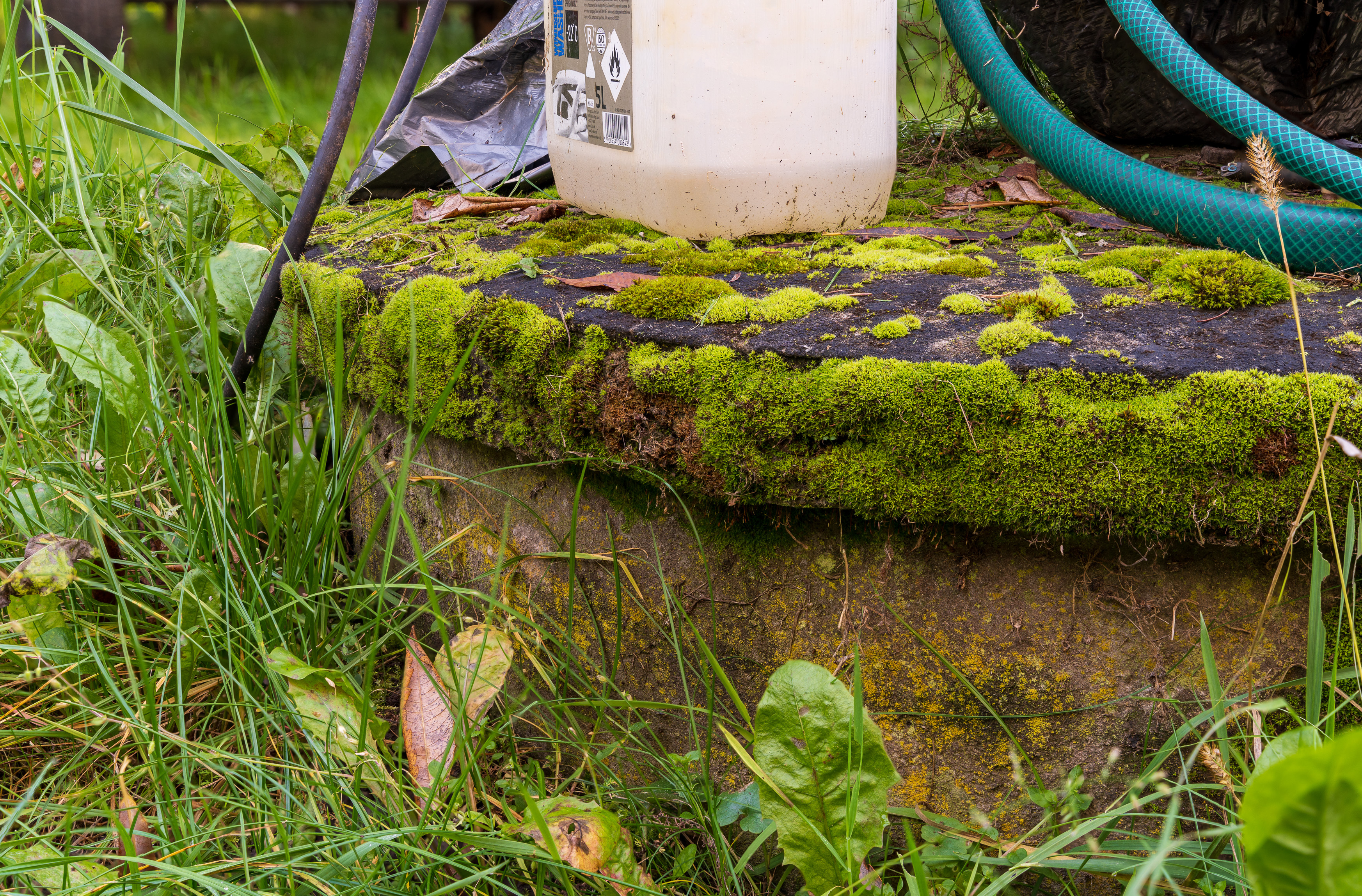 2022-12-16 18-52-57 (B,R8,S4).jpg