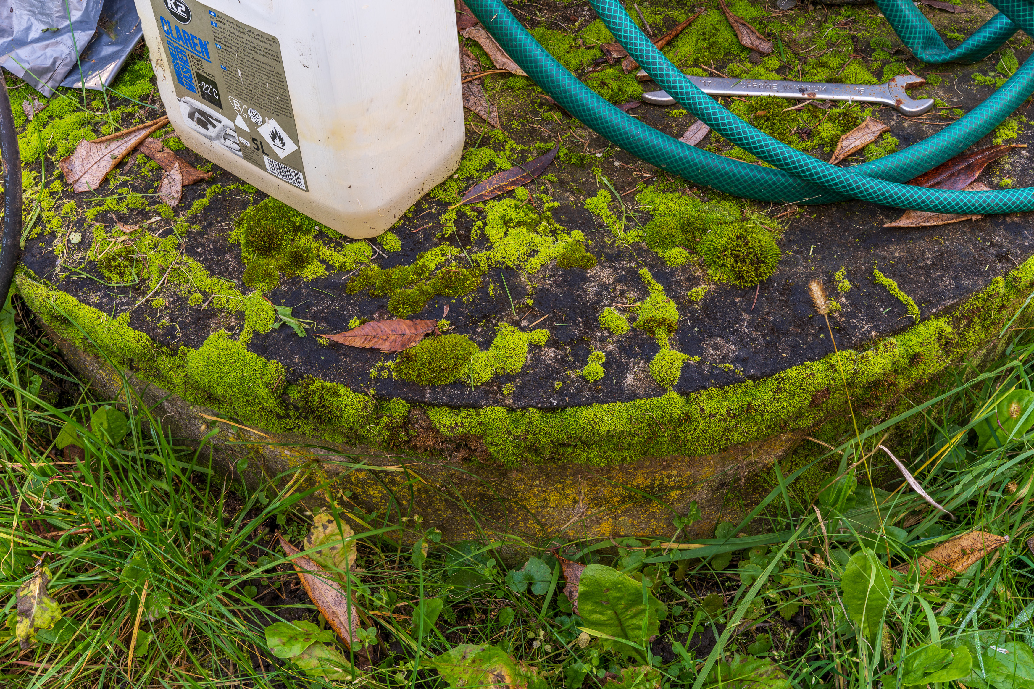 2022-12-16 19-01-11 (B,R8,S4).jpg