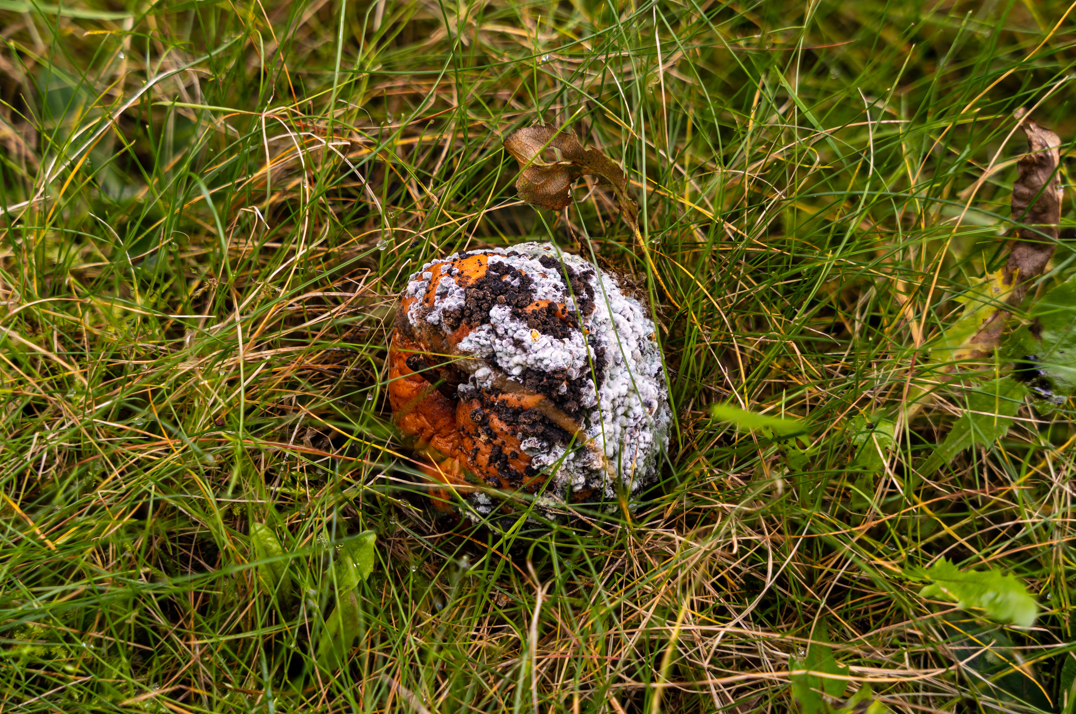 2022-12-16 19-32-12 (B,R8,S4).jpg